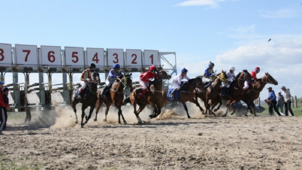 В Якутии пройдут конные скачки, призовой фонд - 5 млн